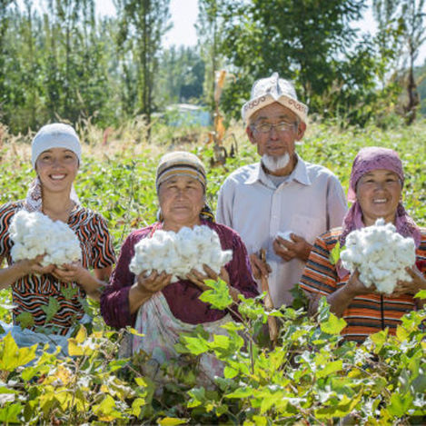 Cotonea ist führende deutsche Marke für Bio-Baumwolle mit Bauern aus Kirgistan