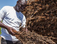 Cotonea Bio-Sesamöl von eigenen Fair Trade Projekten in Uganda