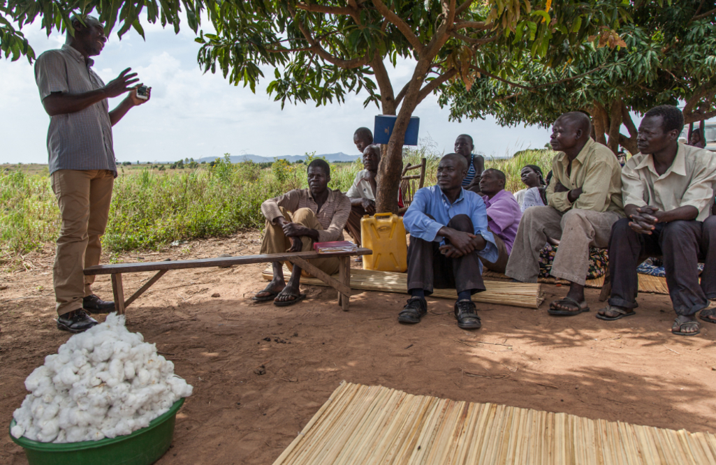 Our Ugandan Organic Cotton Under the African Sun | Cotonea