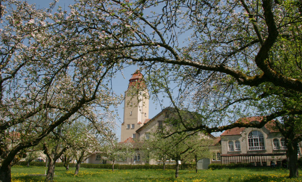 Standort in Bempflingen Deutschland von grünem Textilhersteller Cotonea